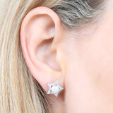 SE0022 P Earring