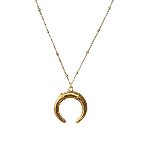 Horn Stainless Steel Necklace